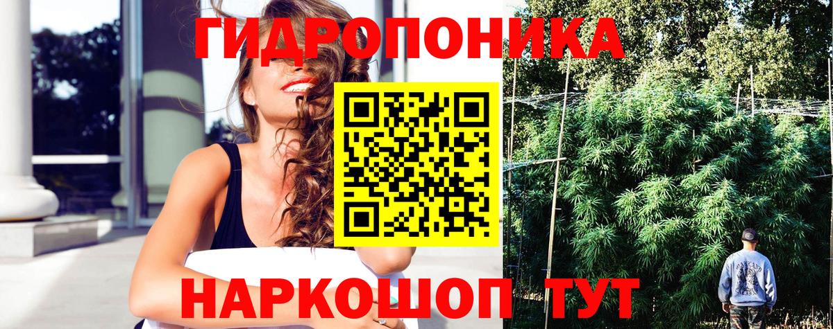 Каннабис гибрид Свободный